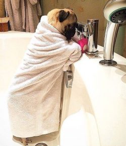 I am praying that mom gets promoted at work with more responsibilities so that she will only giv ...
