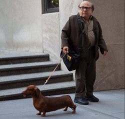 Danny DeVito and  his  dachshund. The two make a great pair