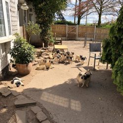 “A day in the life of The Bubblebecca’s 😊 it fills me with happiness looking at them and thinkin ...