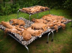 Now that’s what we call space saving! 