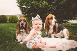 Baby Amie with her hounds Hank & MillieJessica Wright