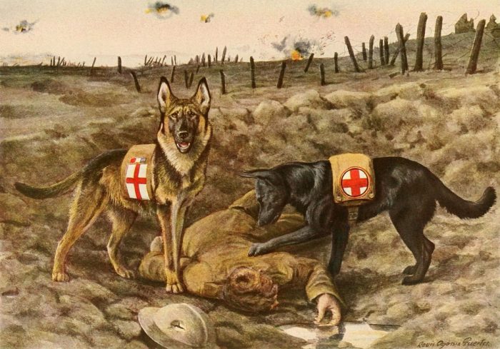 German Shepards Dogs Service Â·Â 