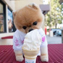 Ice cream time