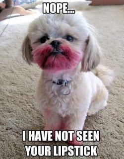 Lipstick ? 