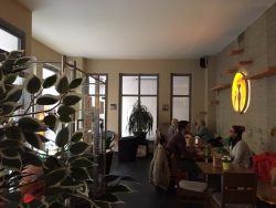 “Katzentempel Cafe”, Munich – 