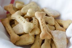  Your Dog Will Go Nuts For These Homemade Peanut Butter Oat Dog Treats!