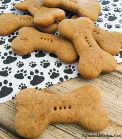 four ingredient dog treat