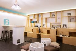 Meow Parlour – NYC, New York 
