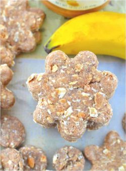 Soft Banana and Almond Pup Treats – 
