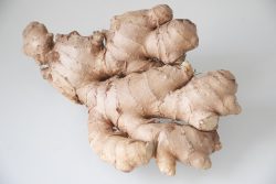 Root Ginger  for your dog