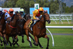 5 Things Every Aspiring Jockey Should Know – BuzzSharer.com