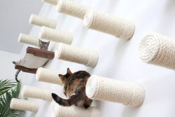 Cat Furniture For Feline Instincts | Catastrophic Creations