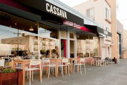 CASSAVA san francisco – pet friendly