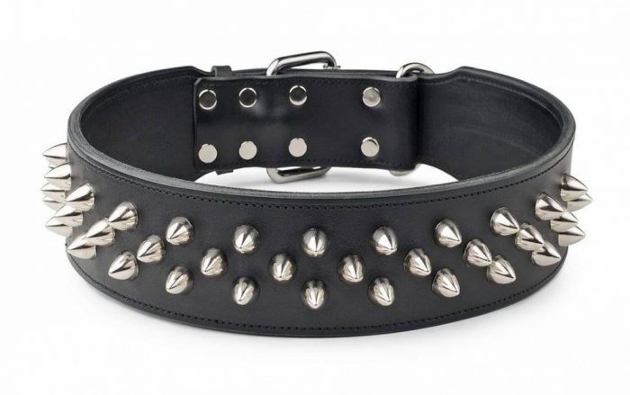 Leather Studded Dog Collar – DOGMOUNT