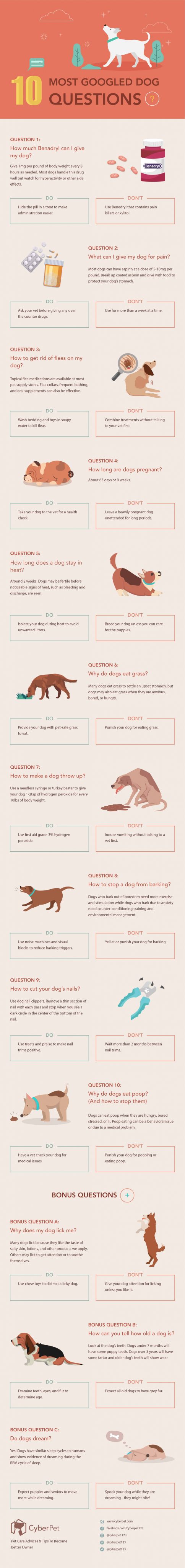 googled dog questions