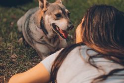 woman lying beside adult gray and tan dog photo – Free Person Image on Unsplash