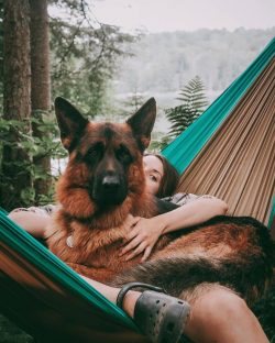  Sometimes it may seem to you that you are communicating with a person in the body of a dog, who ...
