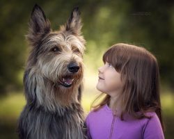 They lack the layer of fat that even a lean livestock guardian dog has, and their coats are not  ...
