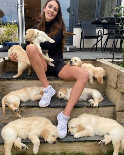 Outwardly, the Golden Retriever is distinguished by its beauty, grace and proportional body.