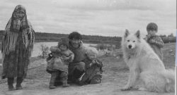 A Samoyed team accompanied the Norwegian explorer Roald Amundsen on his 1911 expedition to the S ...