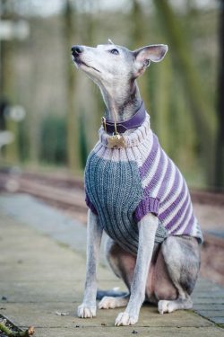 The goddess of the hunt, Diana, is portrayed next to dogs that look like Whippets. 