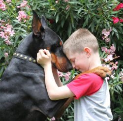 For all his temperament, he does not lose vigilance for a second and is always ready to help. 