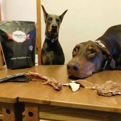 Fearless, energetic and loyal are the three main qualities of a true Doberman. On the streets, t ...