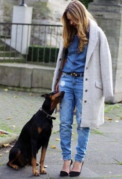 Doberman Pinscher is friendly, gets along well with children, cats and other pets. There are cas ...