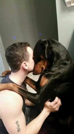 It is not difficult to keep him in a small apartment, but you definitely need to walk with him o ...