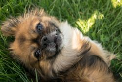 Their mental state and even health directly depends on family relationships, because it is not f ...