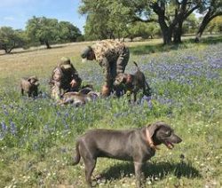 Be as fair as possible to your four-legged friend. This is a guarantee that he will become a rea ...