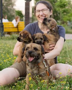 By nature, boarders are incredibly loyal and friendly. If you want a reliable companion, then fe ...