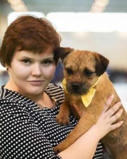 the Border Terrier participated in agricultural shows in Northumberland in the late 19th century ...