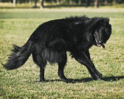 They are not prone to destruction if they do not find a way out of their energy, but it is still ...