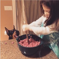 This dog instinctively feels “what is good and what is bad”, whether it concerns a p ...