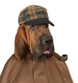 if you see that the dog begins to get bored, try to translate everything into a game format, giv ...