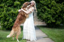 The sporting warehouse of the Russian greyhound is a great feature for those who are going to ra ...