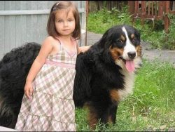 the first months of a puppy’s life need to be taken outside more often in order to catch t ...