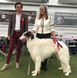Borzoi is not common breeds. Finding a good breeder may take you a long time. Be patient! Better ...