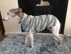 Whippets can be found on art objects. 