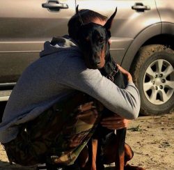 Weasel and persuasion are much more effective on the Doberman. 
