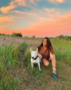 In 1917, the modern bull terrier was recognized. It was a dog named Lord Gladiator.