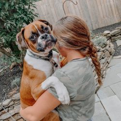in the summer, due to the short muzzle, the dog’s body does not cool down properly, and in ...