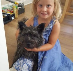 He adores long walk, wrestling with the kids, or ridding the backyard of invading squirrels