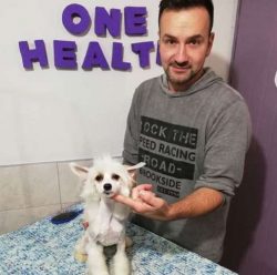 The price of Chinese Crested puppies is between $400 to $600.