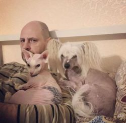 With its graceful, fairy tale look, a hairless Chinese Crested can’t be mistaken for any other b ...