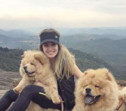 Chow Chow is Affectionate And Bonds With Family Members.