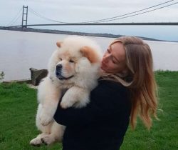  Sigmund Freud owned a beloved Chow Chow named Jofi.