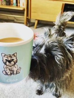 Check out this awesome mug I got for my birthday a few weeks ago. It’s made by who happens to be ...
