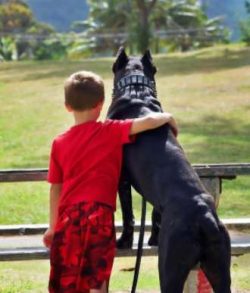  The word “cane”, of course, means “dog” in Latin and comes from the wor ...